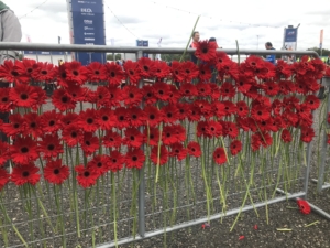 Gerbera's bij de finish